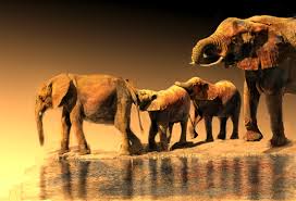 Elephants at the water hole. Once they numbered 3,000,000, Poachers and reduced their number to 30,000.